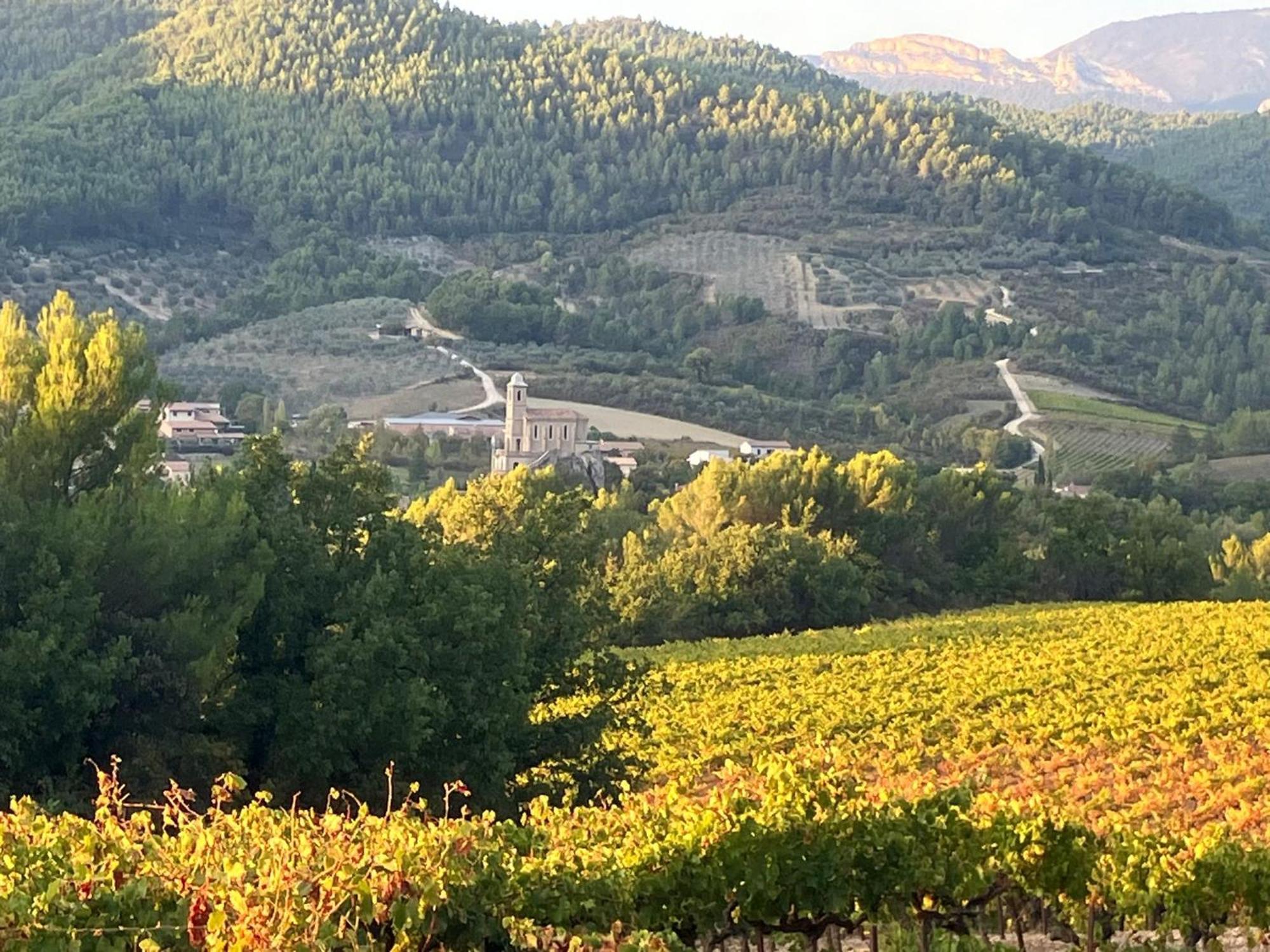 La Clairiere Villa Pierrelongue Bagian luar foto
