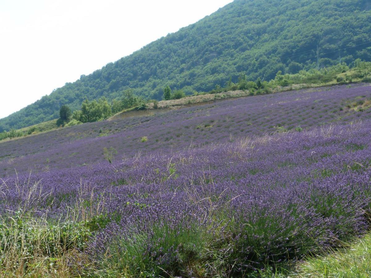 La Clairiere Villa Pierrelongue Bagian luar foto